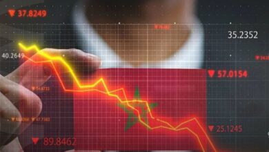 الفلاحة تصمد أمام تباطؤ الاقتصاد في الفصل الثالث من السنة