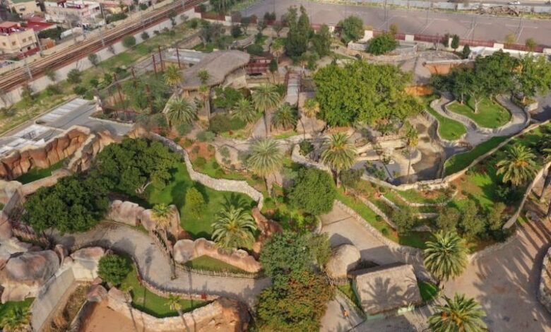 حديقة الحيوانات عين السبع تستقبل زوارها مجددا ابتداء من 22 دجنبر 2025