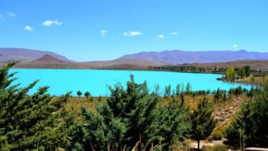 الوكالة الوطنية للمياه والغابات تناقش تعزيز المنتزهات الوطنية