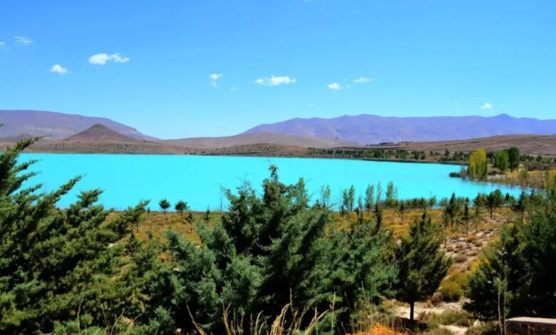 الوكالة الوطنية للمياه والغابات تناقش تعزيز المنتزهات الوطنية