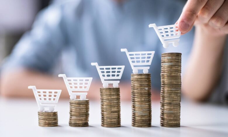 مندوبية التخطيط: تحسّن القدرة الشرائية للأسر بـ5,1 نقاط خلال 2024 