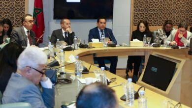 التهراوي: دمج أنظمة التأمين مؤجل إلى حين إنجاز دراسات معمقة