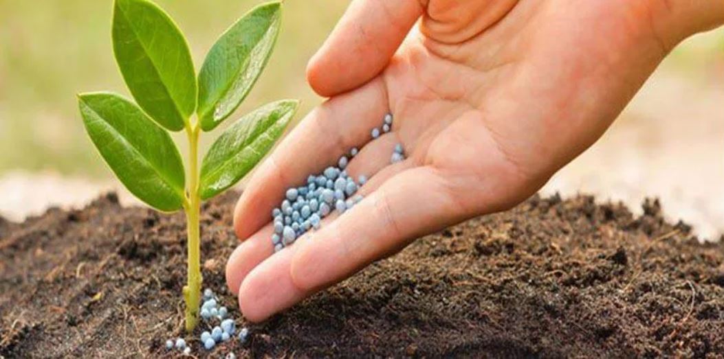 ارتفاع الطلب الهندي على الأسمدة يعزز دور "OCP" في السوق الدولية