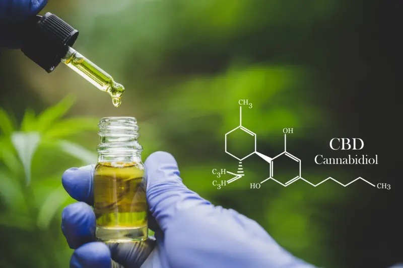 استخدام قانوني لمادة CBD في أدوية ومكملات غذائية بالمغرب