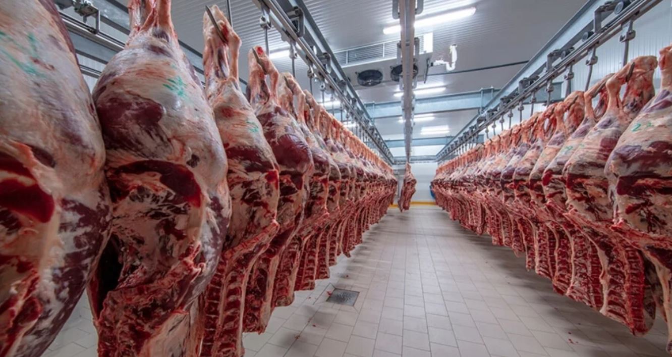 شركة Hola Food الاسبانية توسع صادراتها من اللحوم نحو المغرب