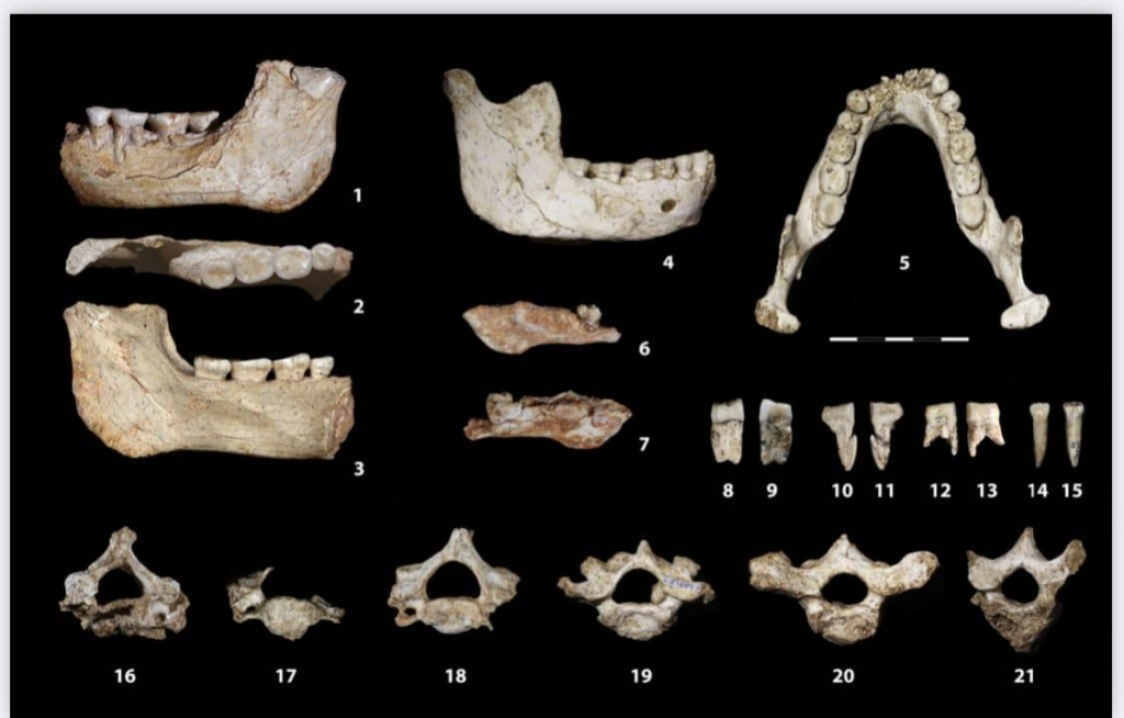 اكتشاف أحافير بشرية عمرها 773 ألف سنة في "كاريان طوما" بالدار البيضاء