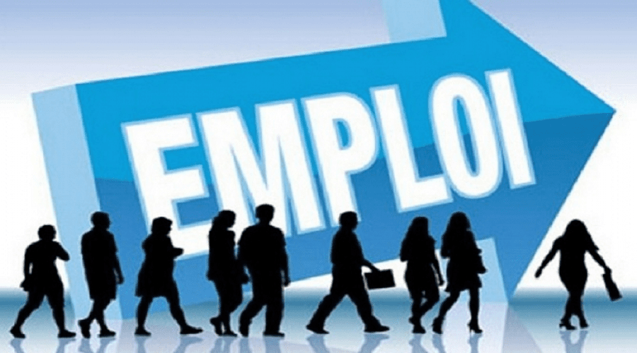 فهم توقعات الشباب: دراسة حول العمل للمقبلين على سوق الشغل