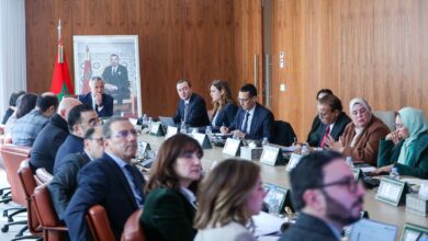 وكالة تنمية الاستثمارات والصادرات تسجل إنجاز 90% من أهداف 2025