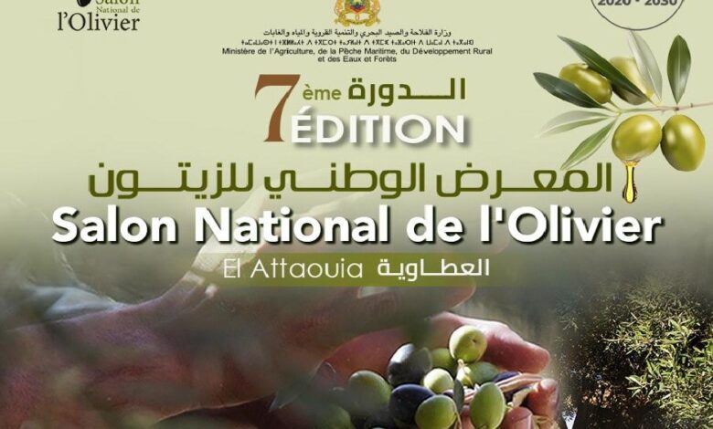 الزيتون رمز للصمود والتنمية في معرض وطني