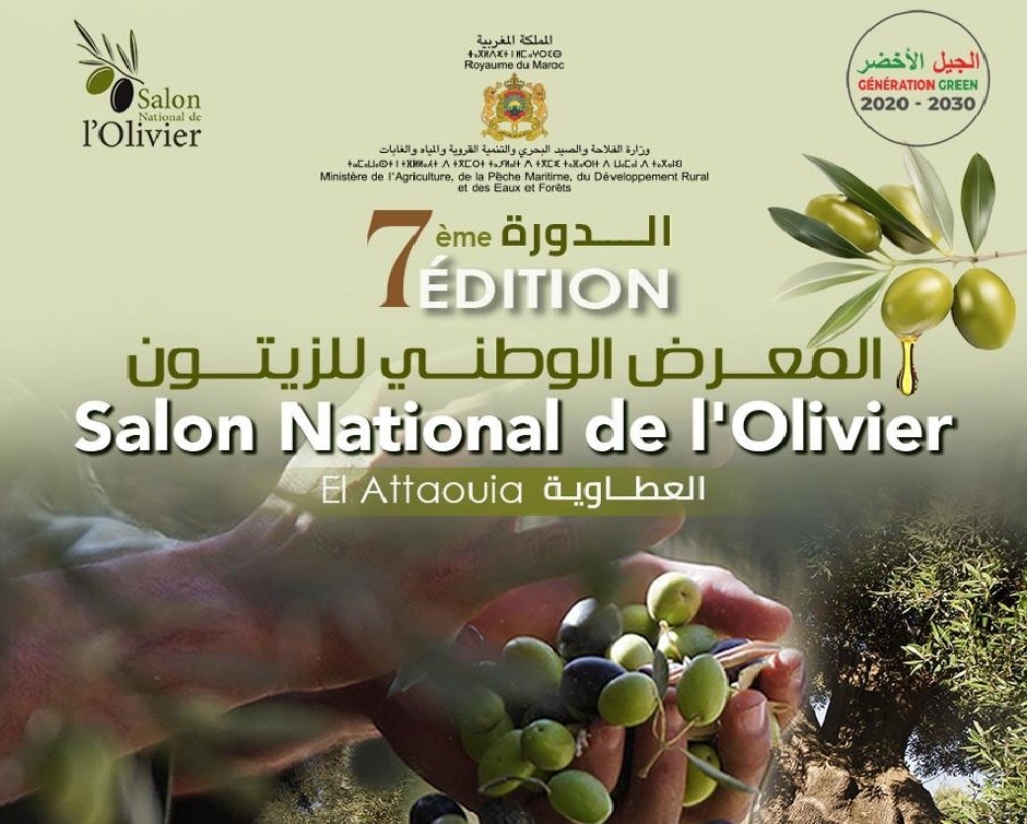 الزيتون رمز للصمود والتنمية في معرض وطني