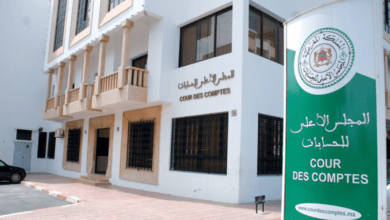 جلالة الملك يوافق على تعيين 24 قاضيًا بالمحاكم المالية