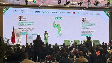 وكالات الأنباء الإفريقية تبحث إدماج العدالة المجالية