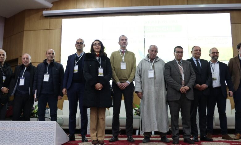 إطلاق مركز تقني بمكناس لدعم إنتاج البذور الزيتية