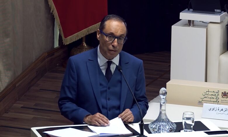 اعمارة يشدد على دعم النساء والشباب عبر اقتصاد الرعاية