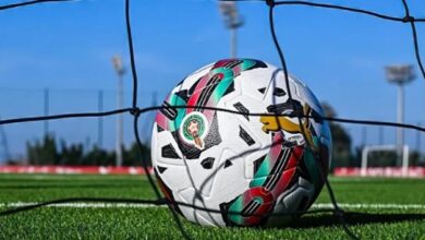 البطولة الوطنية الاحترافية تعود نهاية الأسبوع بعد توقف طويل