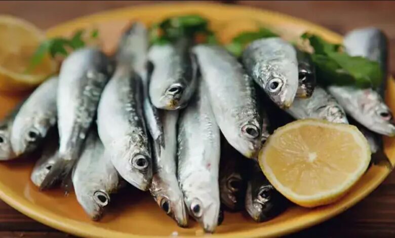 إجراءات لضمان توفر السردين بأسعار مناسبة قبل رمضان