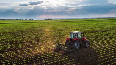 انطلاق موسم فلاحي واعد بجهة الشمال
