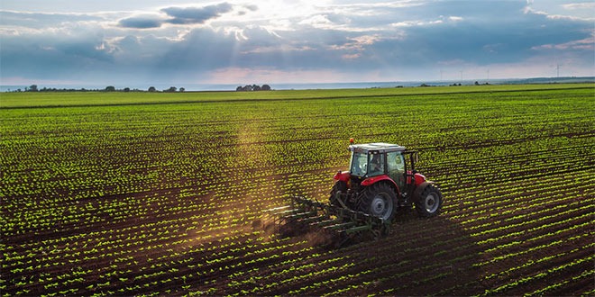 انطلاق موسم فلاحي واعد بجهة الشمال