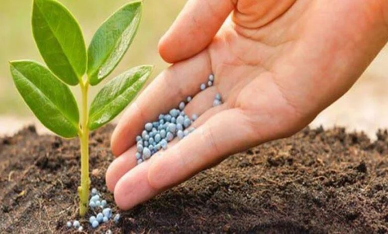 ارتفاع الطلب الهندي على الأسمدة يعزز دور "OCP" في السوق الدولية