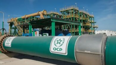 الفوسفاط يقود أداء الصادرات المغربية خلال 2025