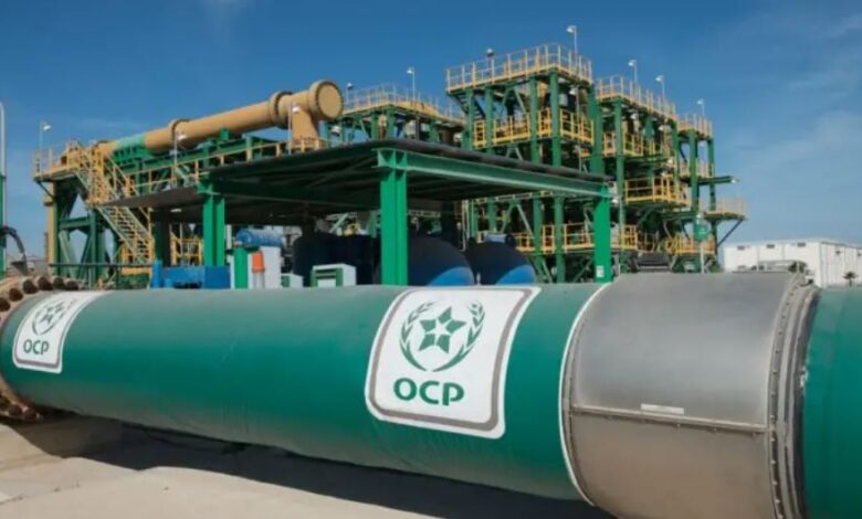 الفوسفاط يقود أداء الصادرات المغربية خلال 2025