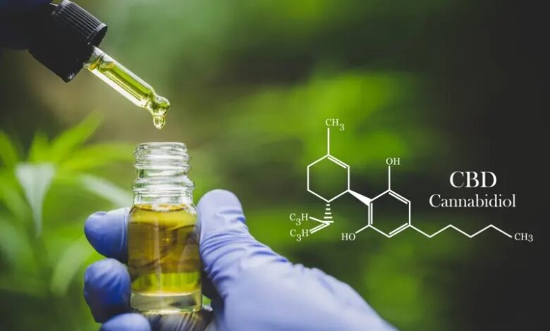 استخدام قانوني لمادة CBD في أدوية ومكملات غذائية بالمغرب