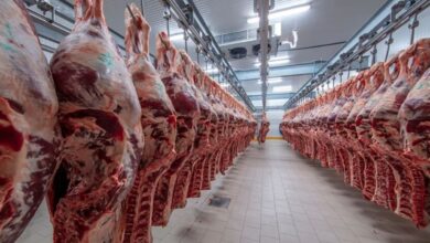 شركة Hola Food الاسبانية توسع صادراتها من اللحوم نحو المغرب