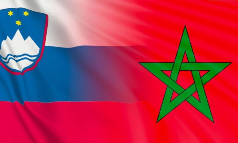 مبادرة اقتصادية جديدة تربط المغرب وسلوفينيا في قطاعات استراتيجية