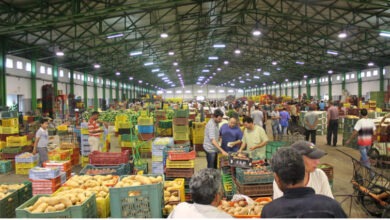 سوق الجملة بالدار البيضاء يسجل أداء قياسياً خلال 2025