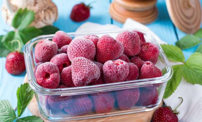 صادرات المغرب من الفراولة المجمدة إلى أمريكا ترتفع بـ 22% في 2025