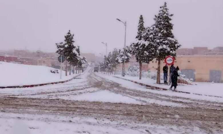 عودة الثلوج إلى وجدة بعد انقطاع طويل