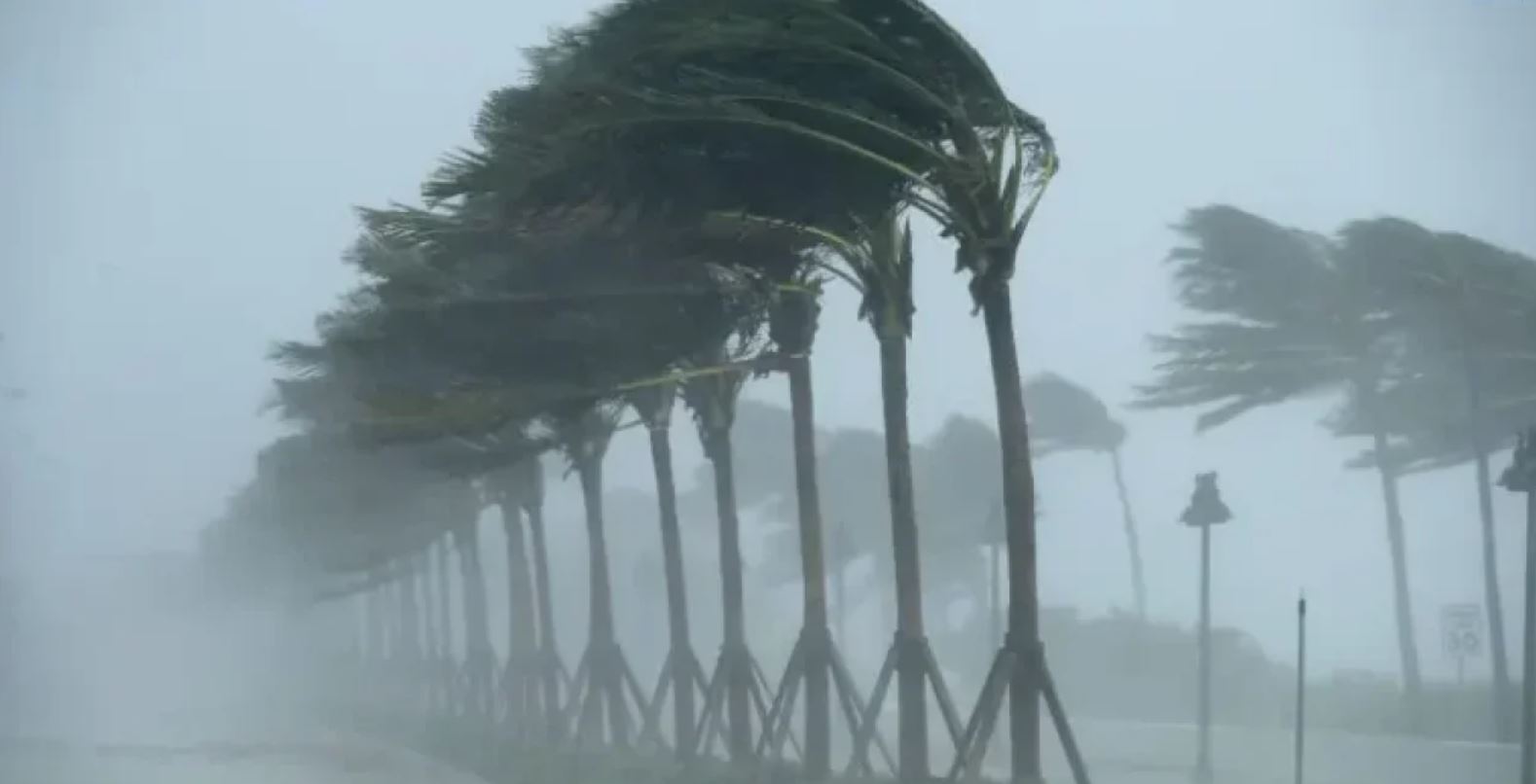 أجواء متقلبة وأمطار ورياح قوية إلى غاية الثلاثاء المقبل