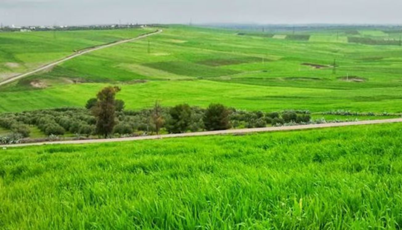 الأمطار القياسية بالمغرب تبشر بموسم فلاحي واعد