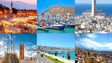 شركة يابانية تدرج المغرب ضمن أفضل وجهات ربيع 2026