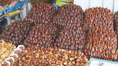 تراخيص استيراد مؤقتة لتموين سوق التمور في رمضان