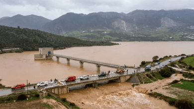 الجامعة المغربية للتأمين تُفعّل تعويض المتضررين من الفيضانات