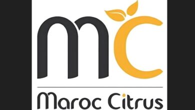 فدرالية الحوامض تطالب بدعم الفلاحين في الغرب واللوكوس