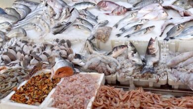 مبادرة "الحوت بثمن معقول" تغطي 40 مدينة