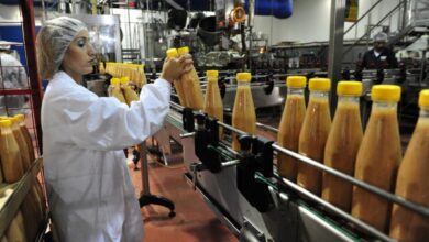 الصناعات الغذائية والكيمياء تستفيد من استقرار التمويل