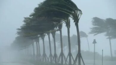 أجواء متقلبة وأمطار ورياح قوية إلى غاية الثلاثاء المقبل