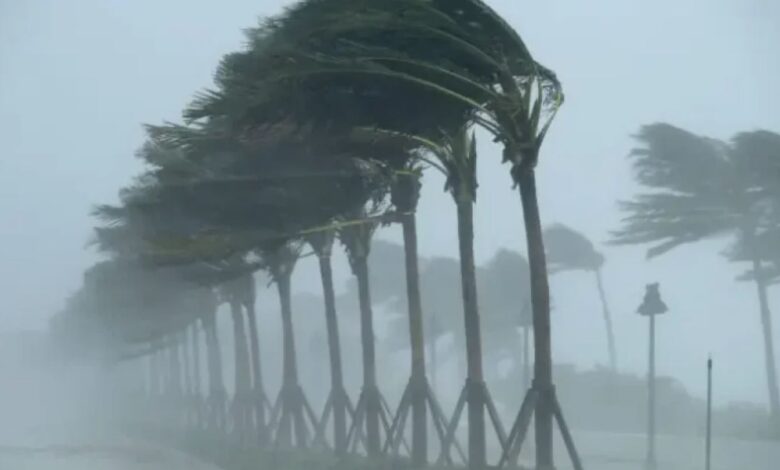 أجواء متقلبة وأمطار ورياح قوية إلى غاية الثلاثاء المقبل