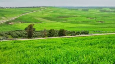 الأمطار القياسية بالمغرب تبشر بموسم فلاحي واعد