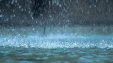 الأرصاد الجوية تحذر من أمطار ورياح قوية اليوم وغدا