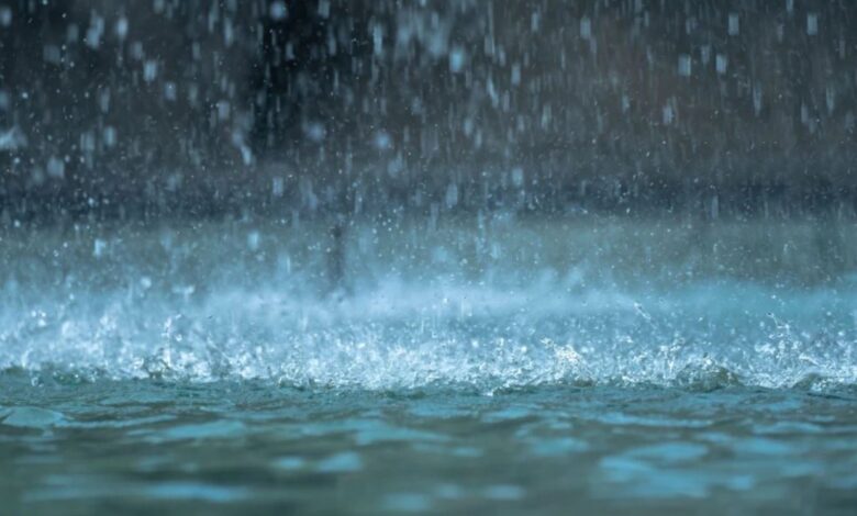 الأرصاد الجوية تحذر من أمطار ورياح قوية اليوم وغدا