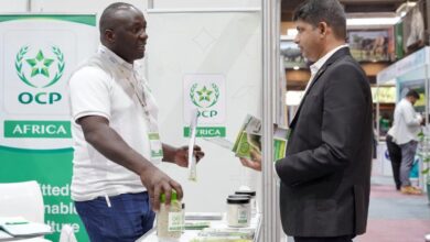 فرع "OCP كينيا" يقدم حلولاً مبتكرة للأمن الغذائي بإفريقيا