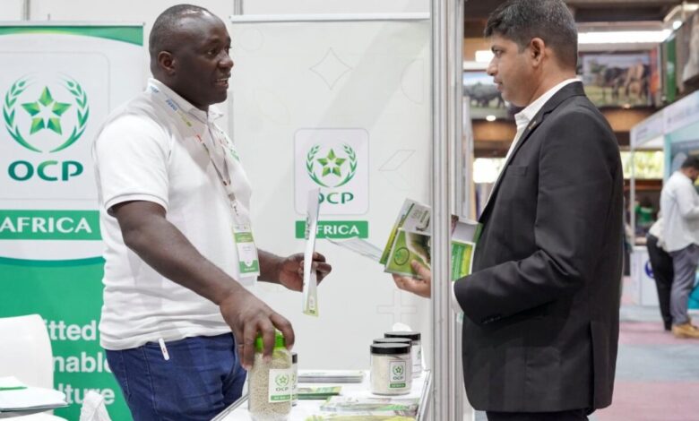 فرع "OCP كينيا" يقدم حلولاً مبتكرة للأمن الغذائي بإفريقيا