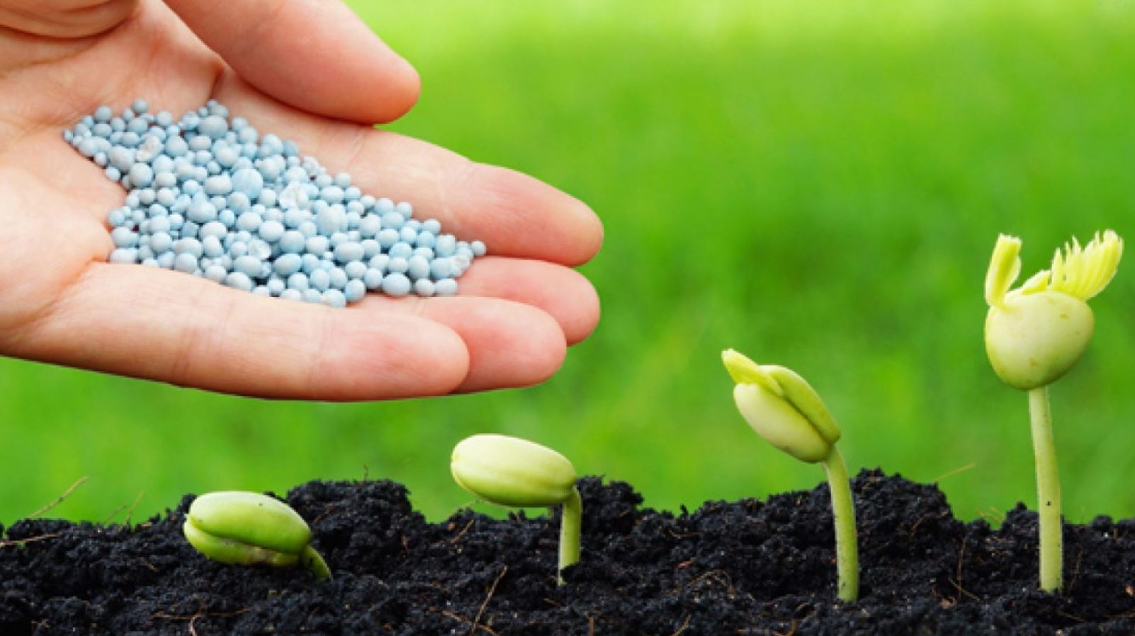 أمريكا تنوّع مصادر الأسمدة وتتجه نحو المغرب وفنزويلا