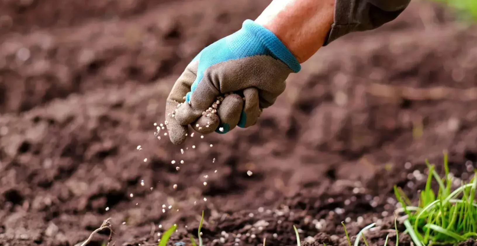 الهند تتجه نحو المغرب لتأمين إمداداتها من الأسمدة