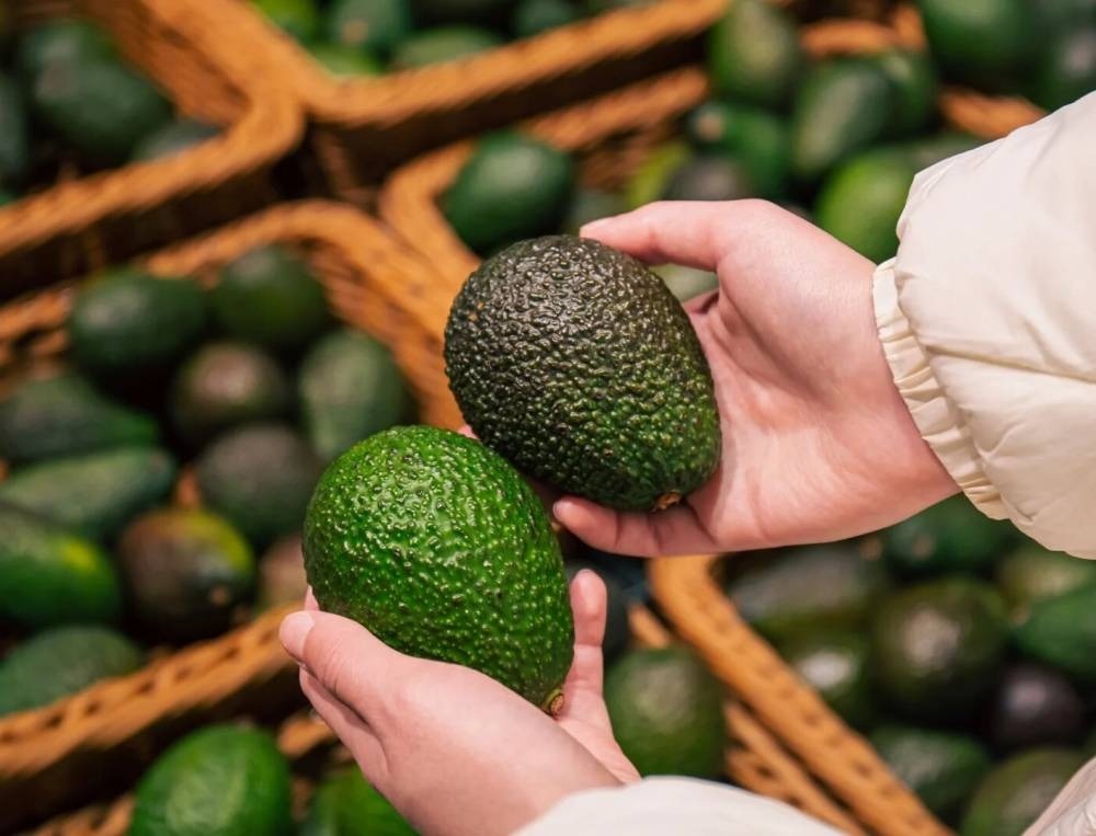 تراجع إنتاج الأفوكادو بالمغرب إلى 58 ألف طن يضغط على الصادرات