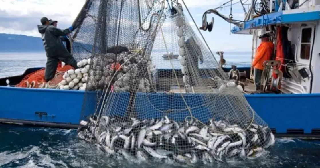 المغرب يطلق مشروعًا دوليًا لاستدامة سلاسل قيمة الصيد البحري